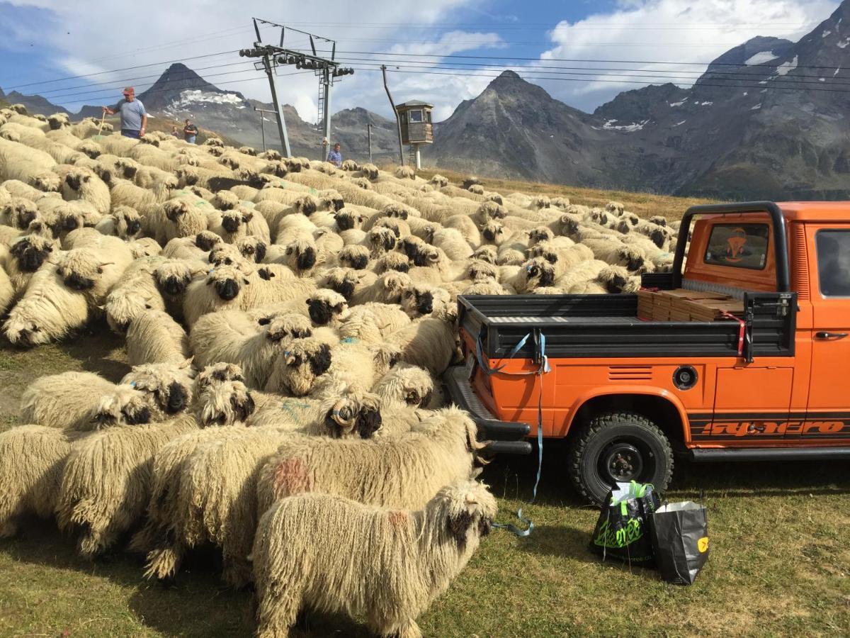 بيت شباب Restaurant Fleschboden Rosswald المظهر الخارجي الصورة