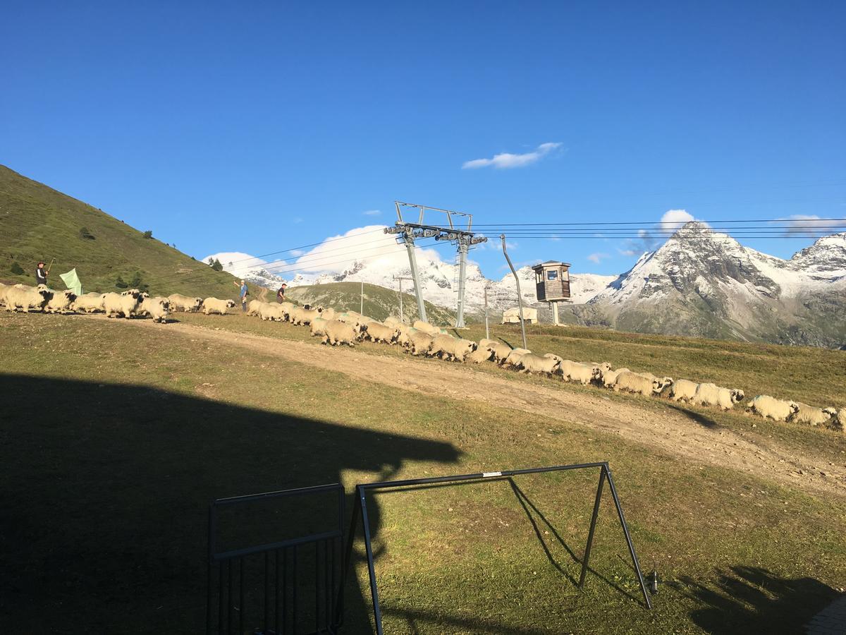 بيت شباب Restaurant Fleschboden Rosswald المظهر الخارجي الصورة